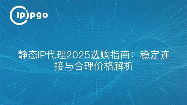 静态IP代理2025选购指南：稳定连接与合理价格解析