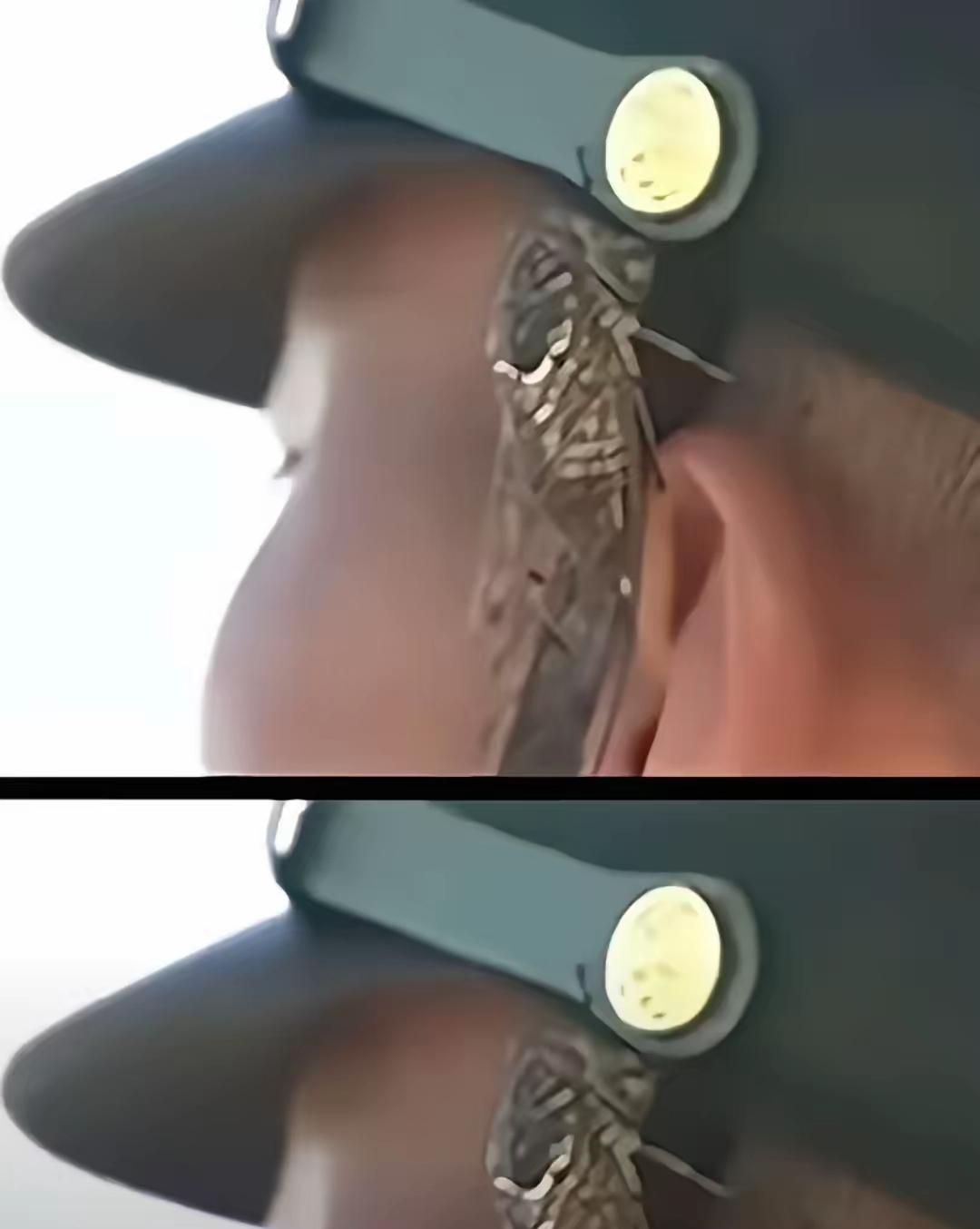 中国军人是很牛的，看看他们站如松，烈日下依然可以做到纹丝不动。有昆虫飞到耳朵处依