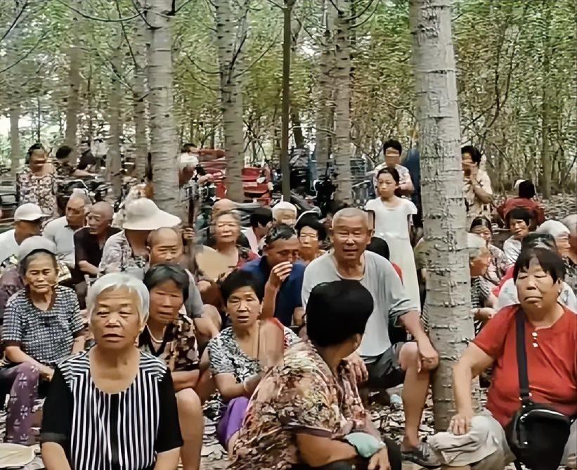 这张照片，一眼望去尽是中老年人。这景象不禁令我感慨万千，毕竟每个人都会有老去的那