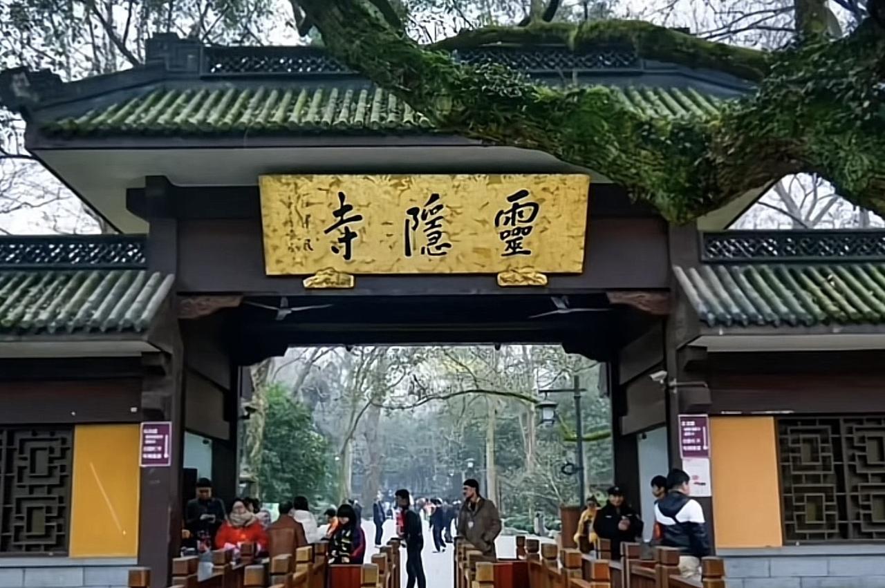 全聚德的鸭子狂欢了，它们一直认为自己就是全聚德的股东，当一批又一批的鸭子，看见老