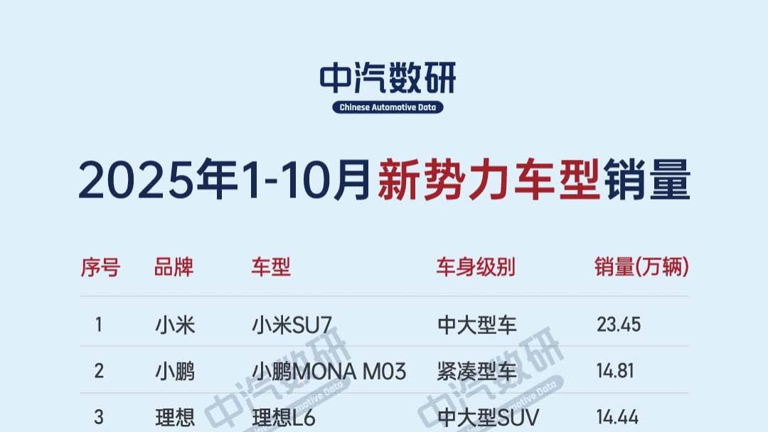 2025年1-10月新势力车型销量TOP60