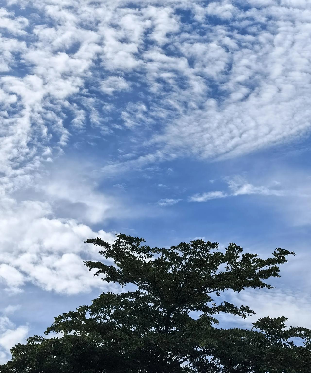 年轻人不让爷爷奶奶带娃是对的。
昨天在电梯里看到一对儿爷孙俩，孙子想吃面包，面包