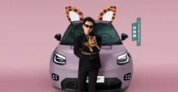 #10万内小车安不安全# 
在如今的汽车市场中，10万内的小车安不安全，一直是