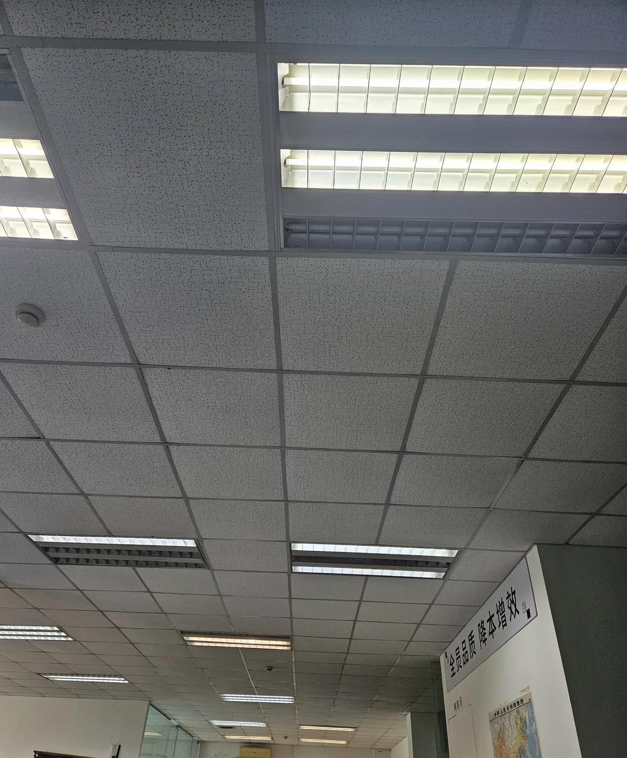 不要怀疑985学生的学习能力
最近，身边有同事感慨：单位新来的985研究生选调生