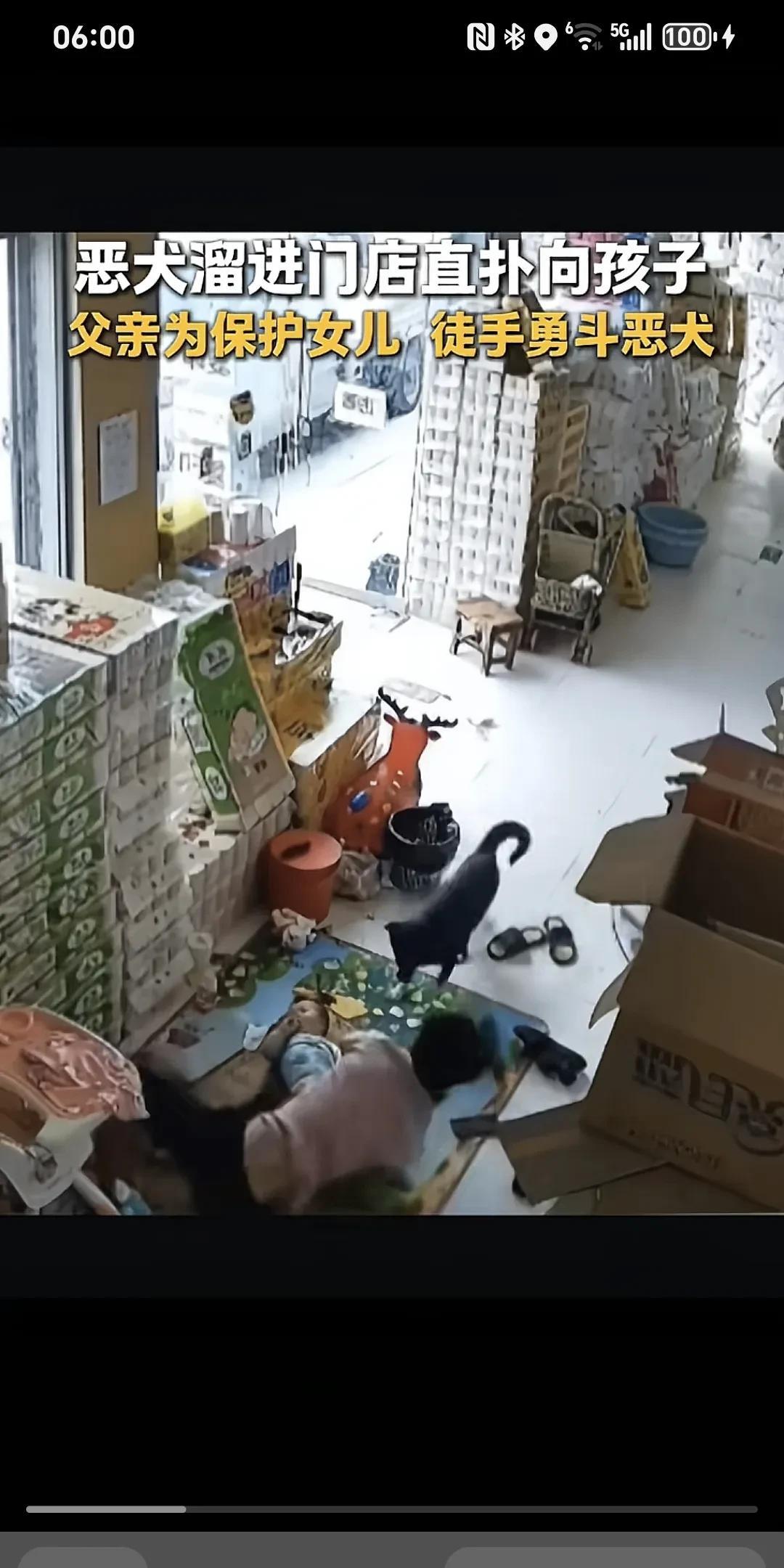 恶犬窜进门店，径直扑向孩子，父亲为护女儿，赤手空拳勇斗恶犬……
实在太可怕了！那