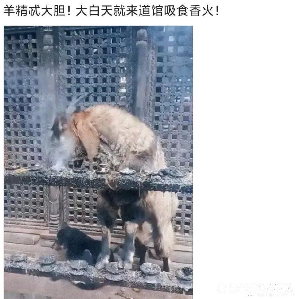 也不怕自己被烤熟了！！！