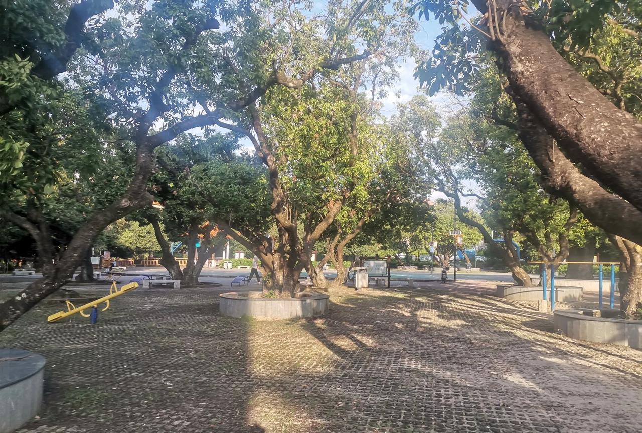 现在有一些地方的学校校长50岁就退居二线，这样会不会有点早了，50岁的校长刚好管