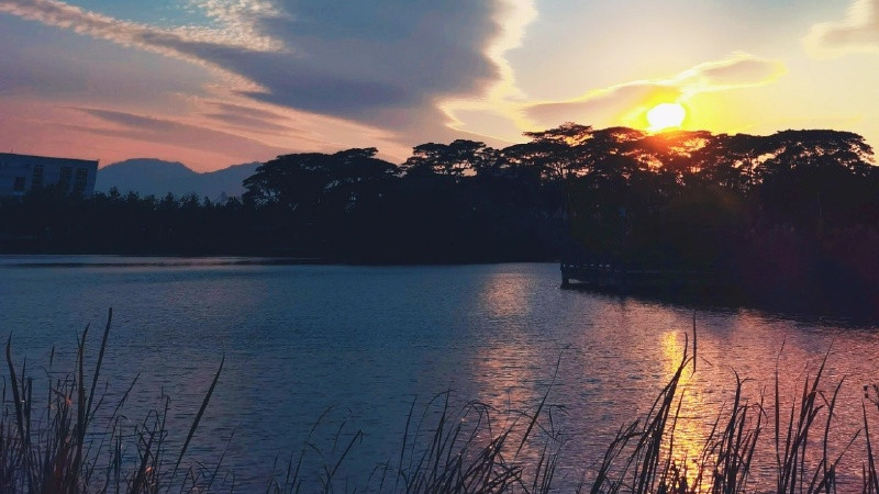 你的功劳在上司嘴里可能只是团队的成果