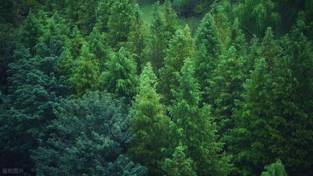 FSC认证凹凸压纹纸快递袋黄牛皮纸格拉辛纸包装可定制可印刷LOGO