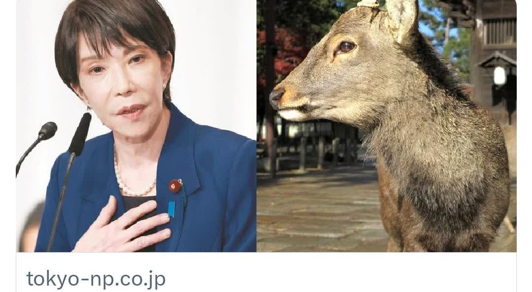 9月23日，下一任日本首相的热门候选人高市早苗由于近期的一个发言，在网上遭受到了
