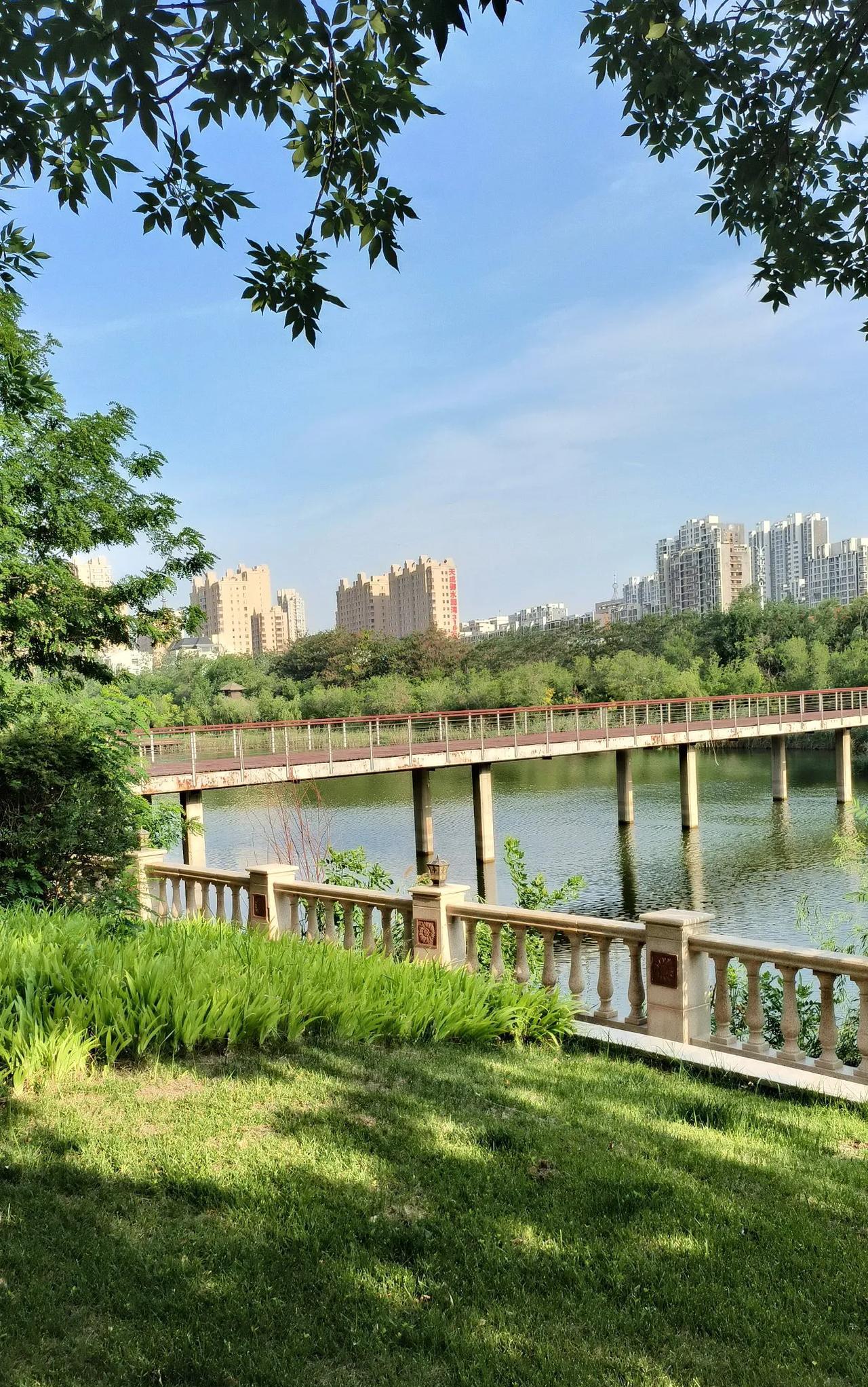 公园里巧遇同事，同事家姑娘学习优秀，大学毕业后继续去国外读书，在国外读书期间，遇