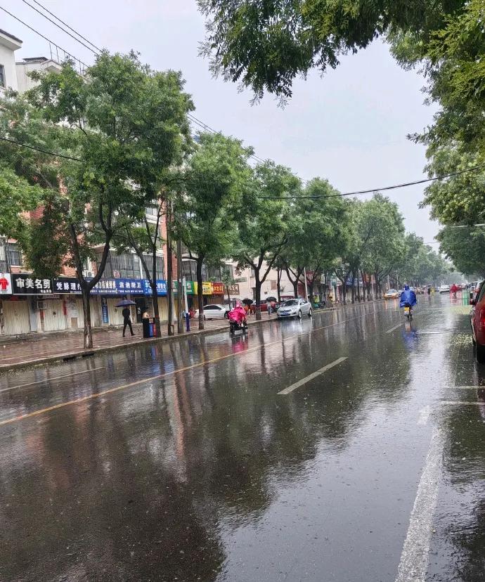 今天我们河南鹤壁淇县，
由于夜里下了一场雨，
清晨秋风习习，
感觉凉意盎然。
许