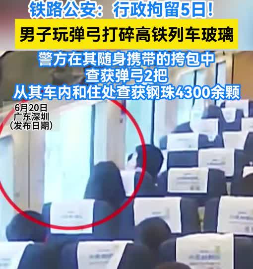 弹弓击碎高铁玻璃仅拘留5日，网友怒问：掏鸟窝判十年，公共安全不如几只鸟？
20