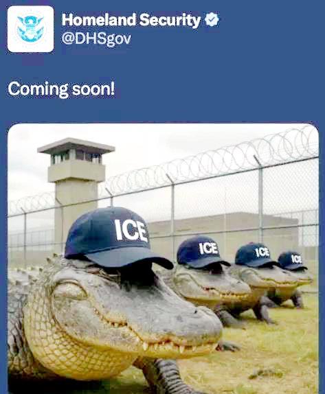 美国佛罗里达州将开设一个非法移民中心。据州长罗恩·德桑蒂斯介绍，该中心周围环绕着