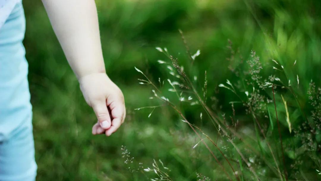 孩子一学就烦，不是厌学，是情绪先累了。