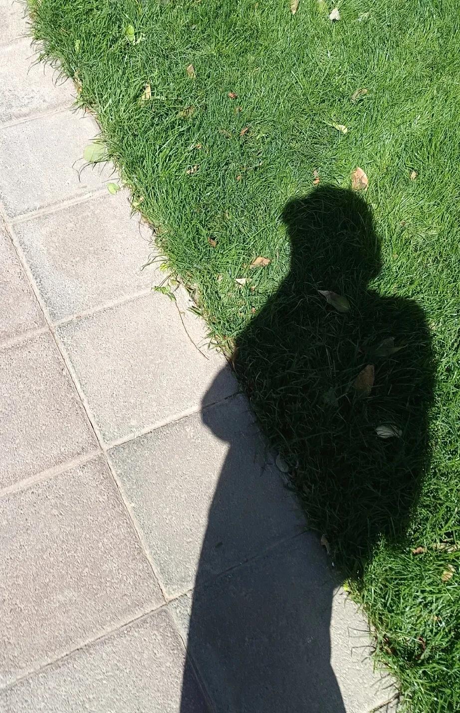 丧偶后，我把思念和痛苦倾诉给了头条。



失去爱人后，我仿佛失去了整个世界，那