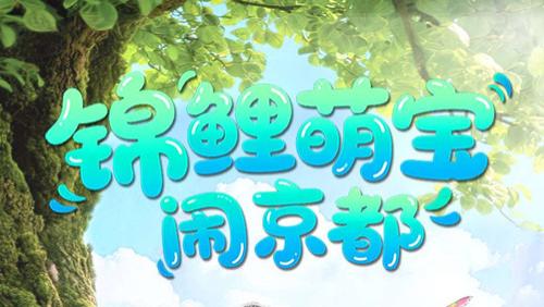 短剧《锦鲤萌宝闹京都》全100集