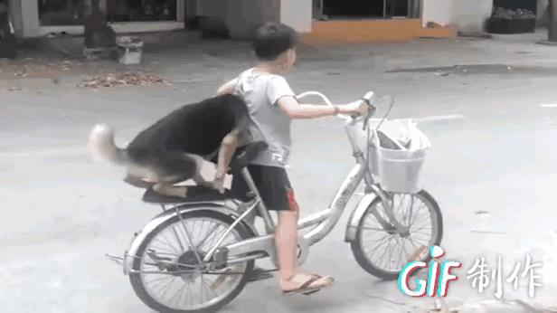 带狗狗骑车兜风，一起快乐去。