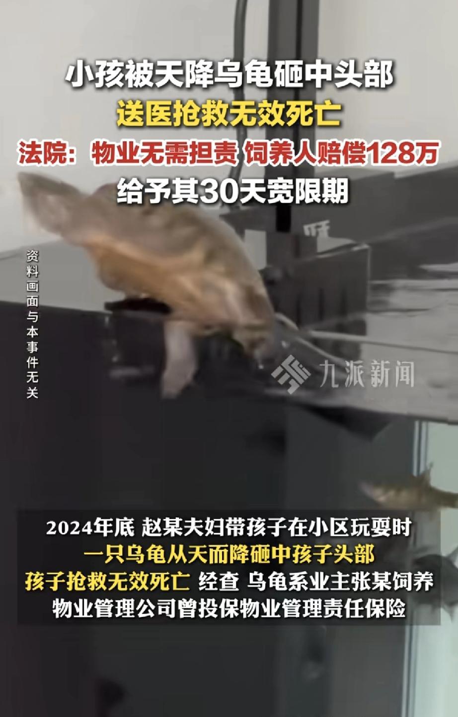 2025年6月9日，广东韶关一起高空坠龟致孩童死亡案件引发社会广泛关注。据韶关市