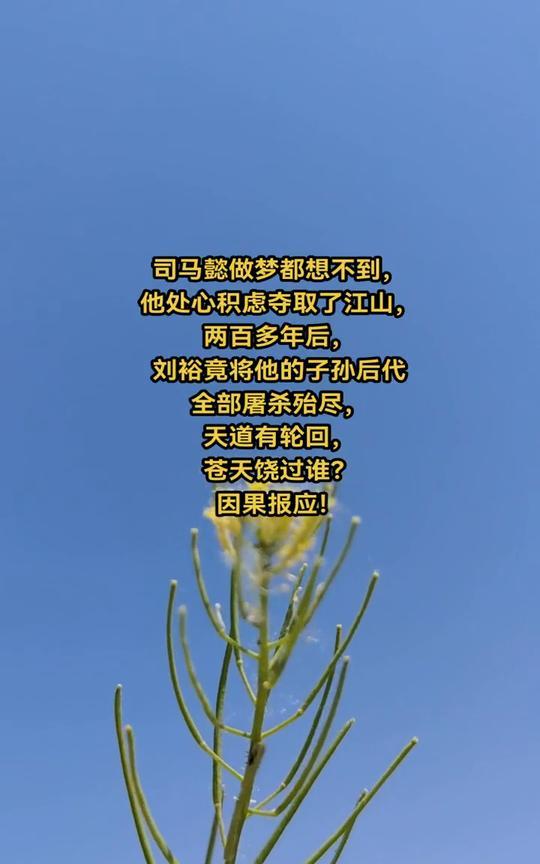 司马懿做梦都想不到，他处心积虑夺取了江山，两百多年后，刘裕竟将他的子孙后代全部屠