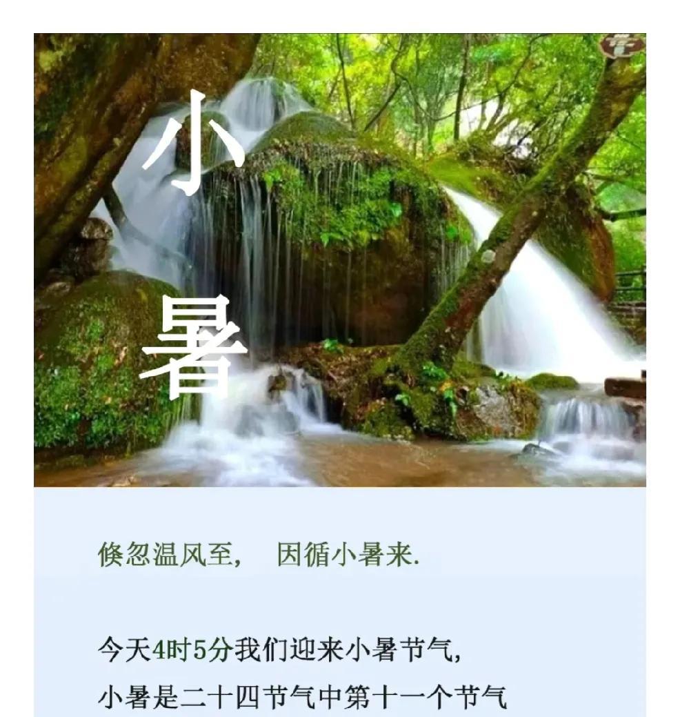 小暑：
（汉中宁强）汉江源里
藏着夏日最沁人的凉