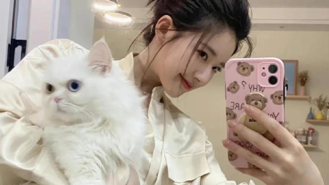 赵露思手机壳收藏大公开！20 元平价款居然最常用