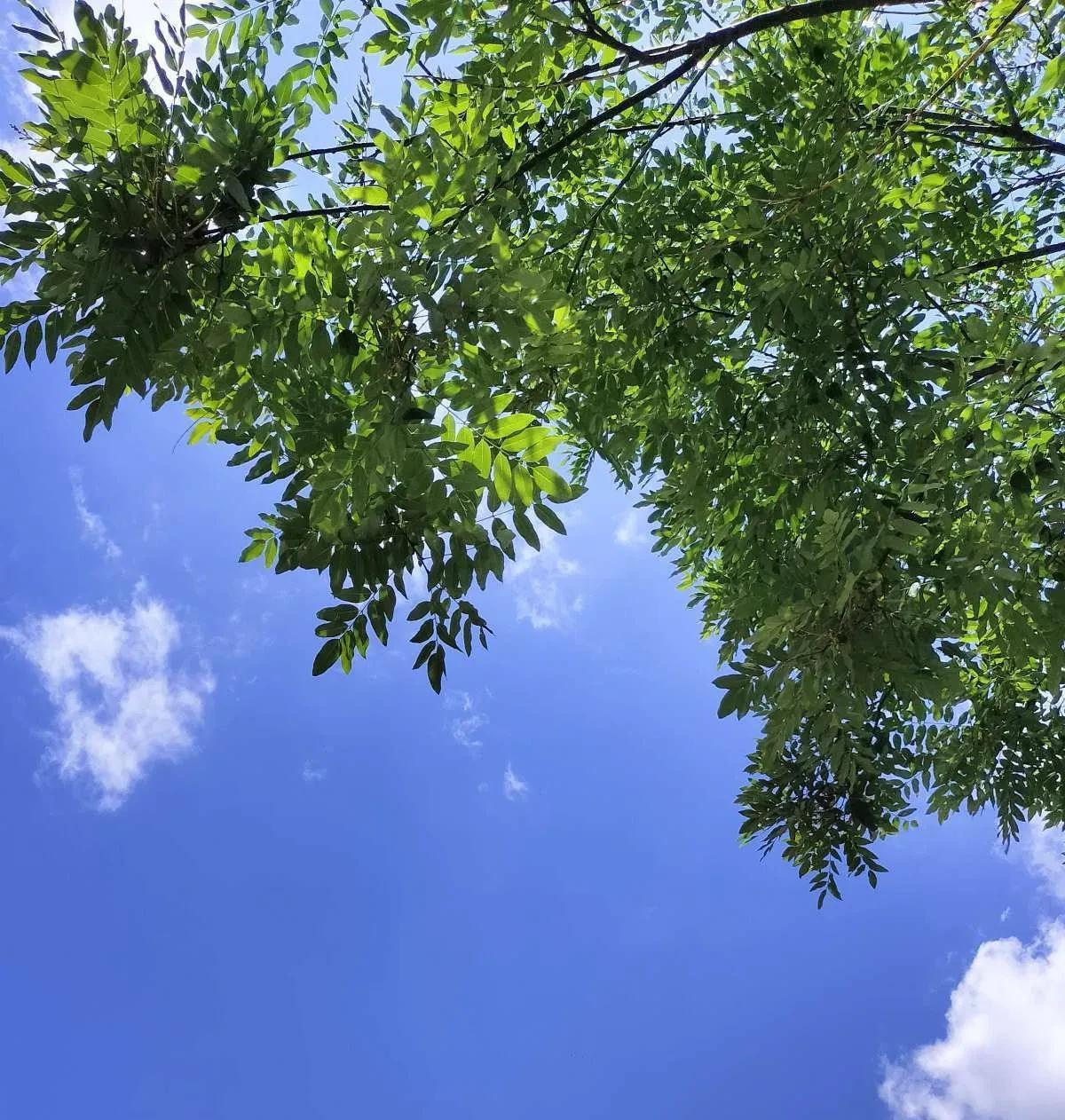 处女座（8月23日-9月22日）：细节控的灵魂修行者
处女座是“细节控的灵魂苦行