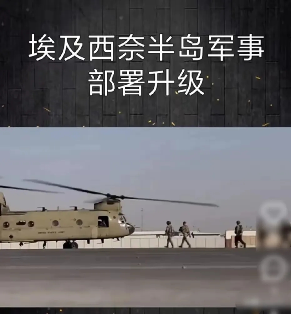 终于忍不住喽！埃及要有动作喽！以色列🇮🇱可得收敛点儿啦！
5月21日，埃及的