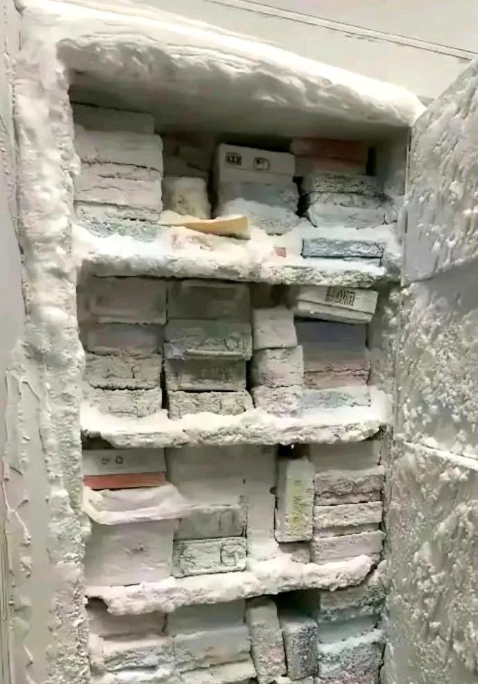 黑龙江的冰箱忘通电了，就变成这样了 ​