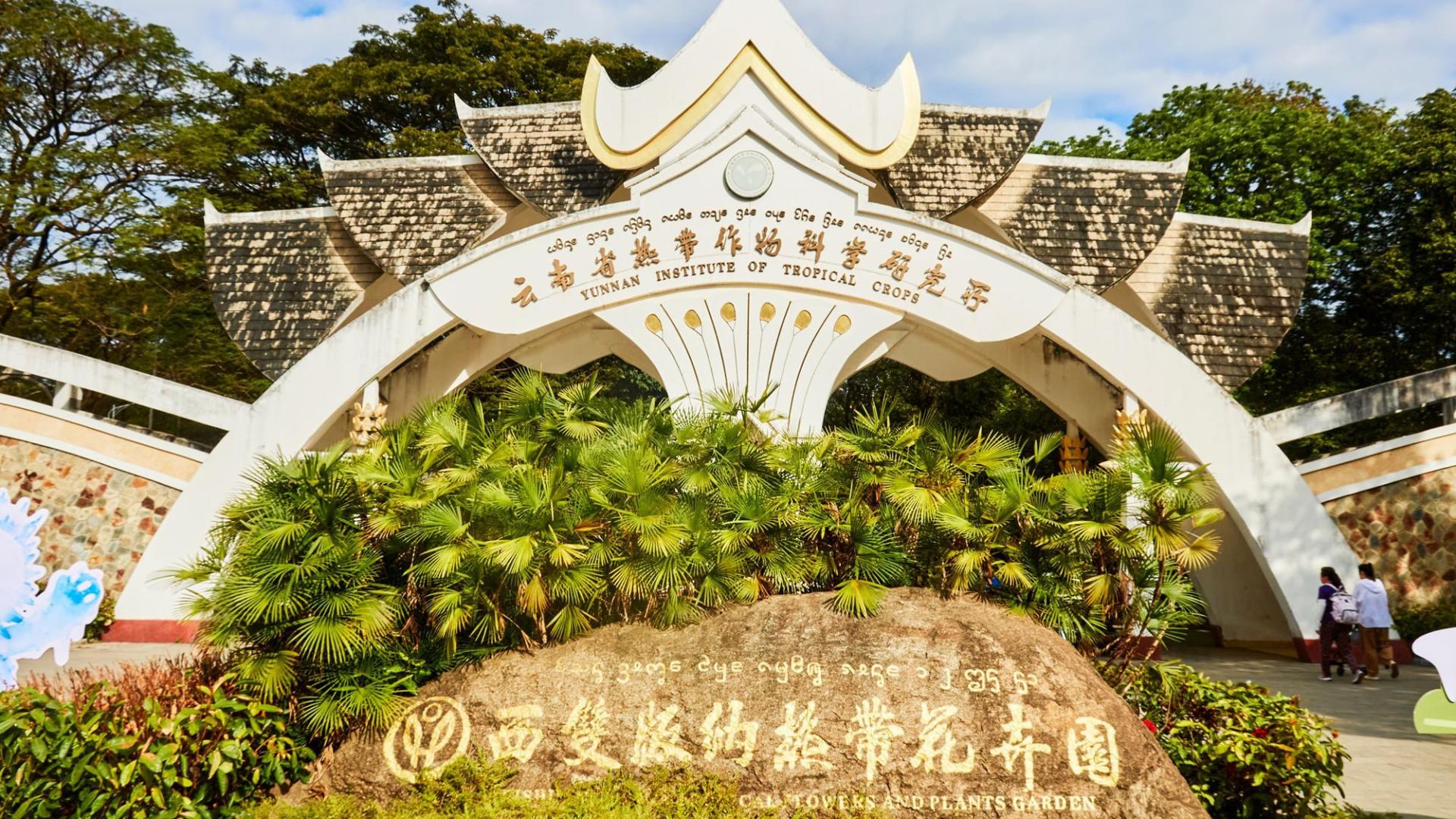 西双版纳热带花卉园，一处隐藏在市区的热带秘境，一园赏尽热带繁花