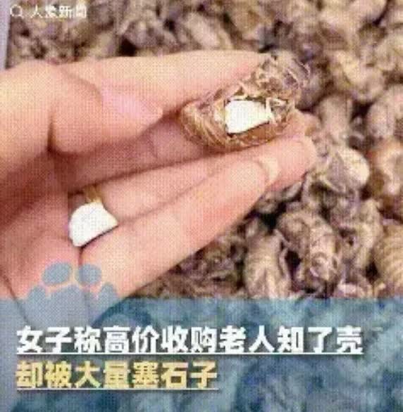 太坏了！陕西铜川这事儿，真的让人心里堵得慌。
 
   女子收知了壳，本想照
