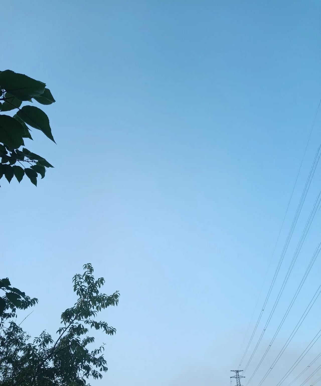 #头号创作者激励计划#明天(8月7日，星期四)就要立秋了，对于久经“烤”验的芸芸