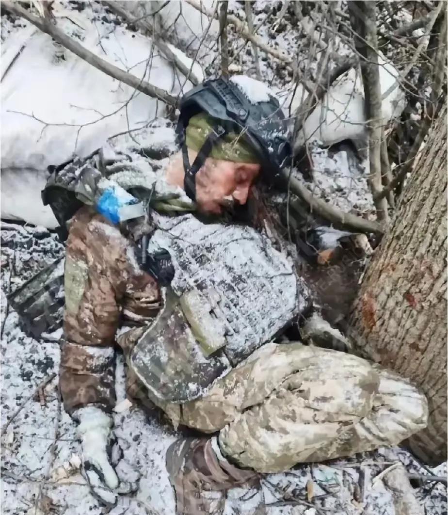 看到这位被积雪覆盖着的乌克兰士兵，他就这样蜷曲着身子，无声无息，无人理睬！
他也