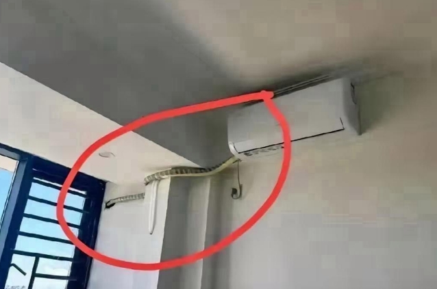 踏入房间，惊见此景，怪异布置令人心生惶然，睡意全消。这般独特设计，究竟是创意过了