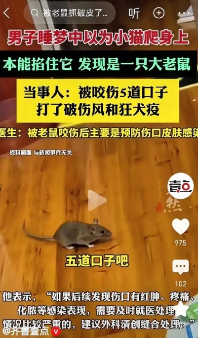 太吓人了！江苏无锡，男子在睡梦中，听到床头有东西爬过，以为是小猫，本能掐住它，不