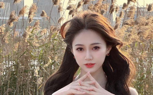 市委书记带美女老板出了一趟国，回来之后态度大变，又给地又给编