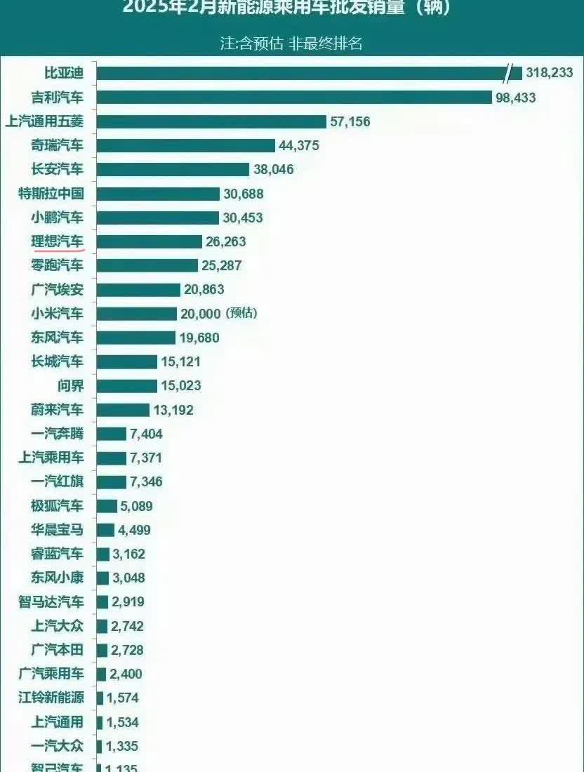 理想要完蛋了？核心技术冰箱彩电大沙发，小蓝灯，星环灯，已经全部被友商学会。新能源