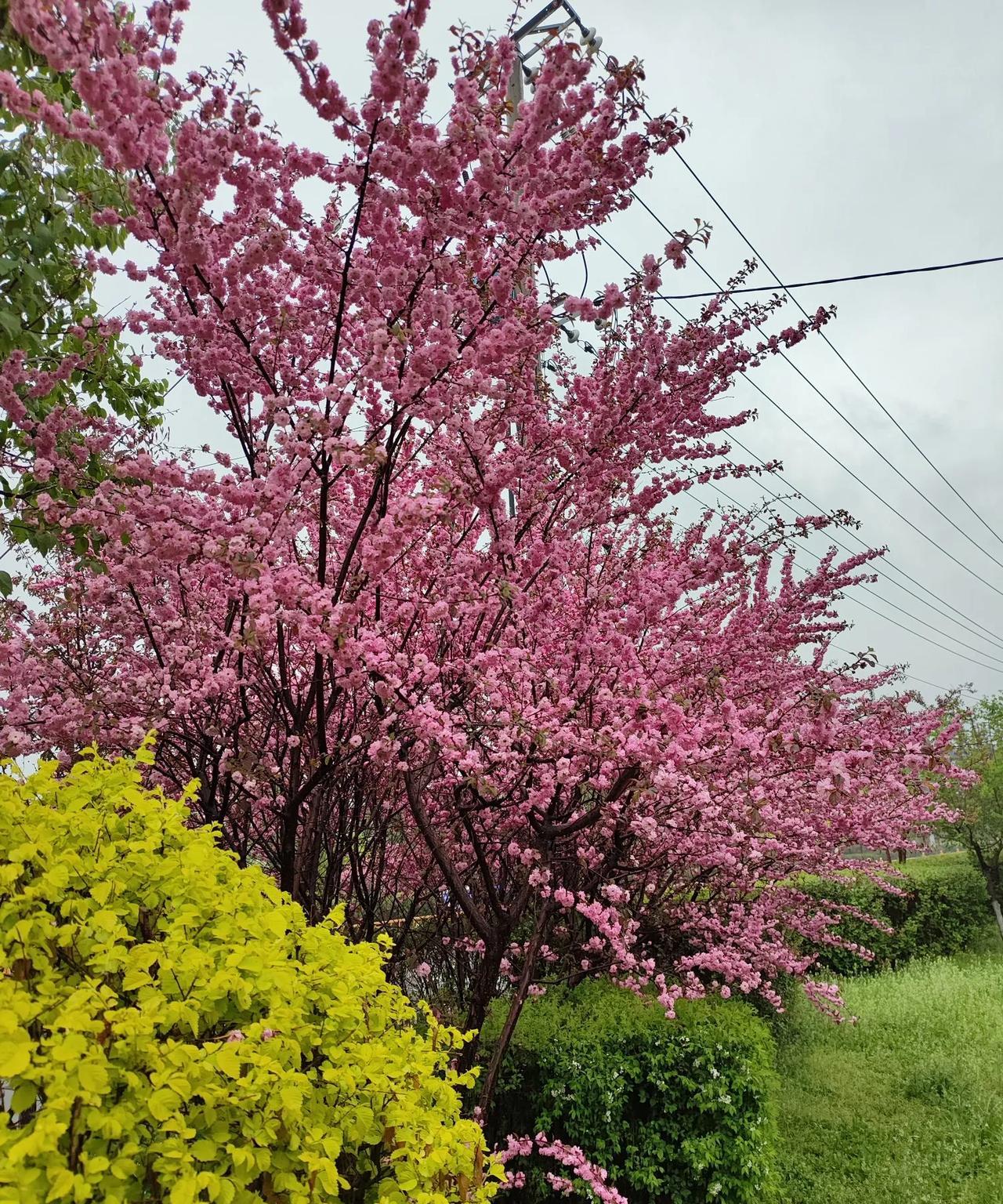 #上联:
岁岁风调雨顺，请赐下联#朝朝国泰民安