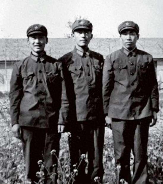1981年底，提干失败的阎连科办好退伍证后回了老家嵩县。
一天，他正在田里播种小