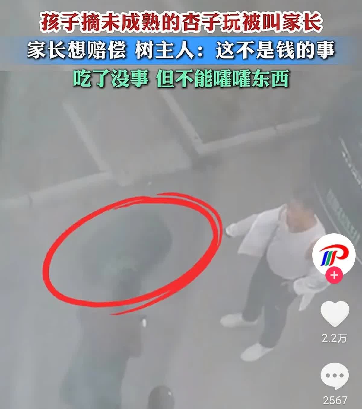 典型的东北思维！辽宁，大哥抓住一个正在摘杏的小孩，家长被喊过来想要赔钱，但是大哥