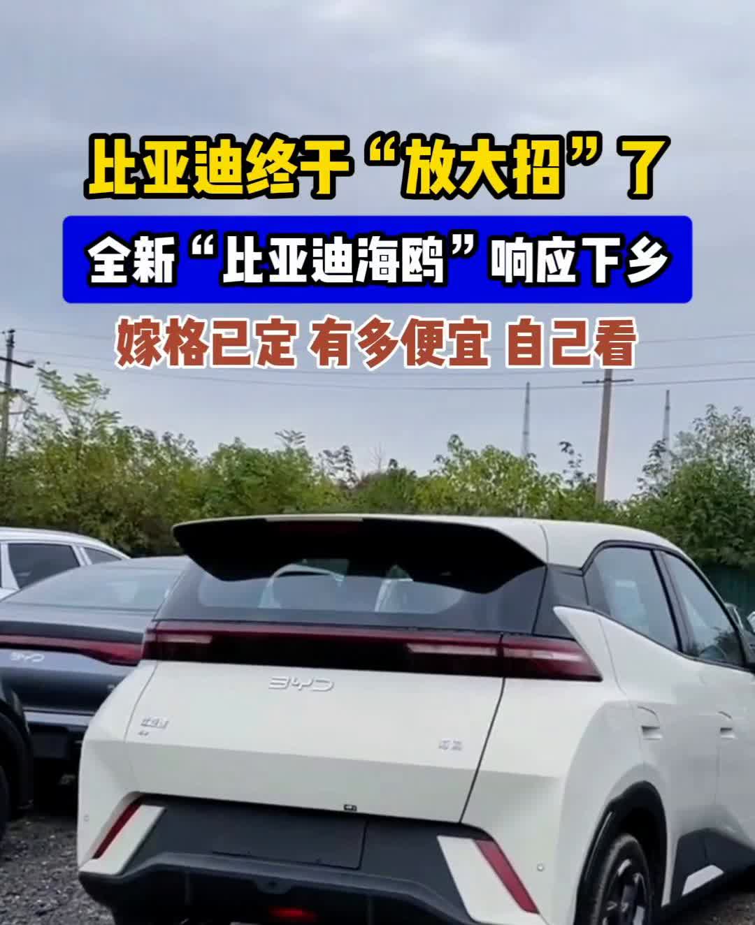 比亚迪终于"放大招"了，全新"比亚迪海鸥"响应下乡，价格已定，有多便宜自己看。