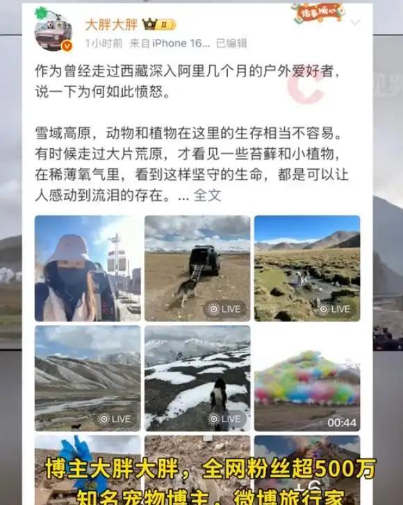        据说日喀则市也成立了调查组第一时间赶赴现场来调查，随后蔡国强和始祖