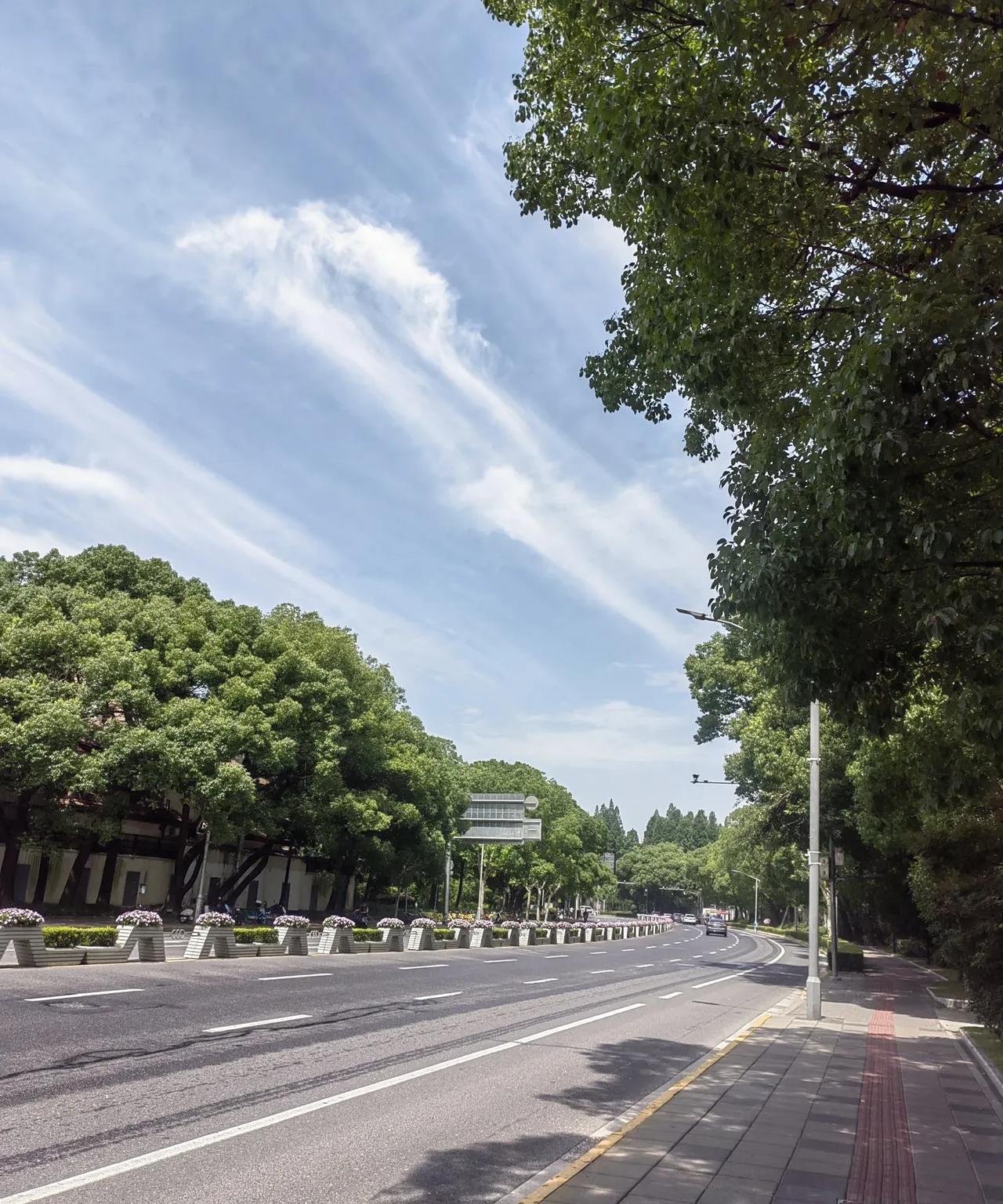 记录我们的退休生活…..
老伴又陪大姨子出去走亲访友兜马路，新天地吃泰菜，石门路