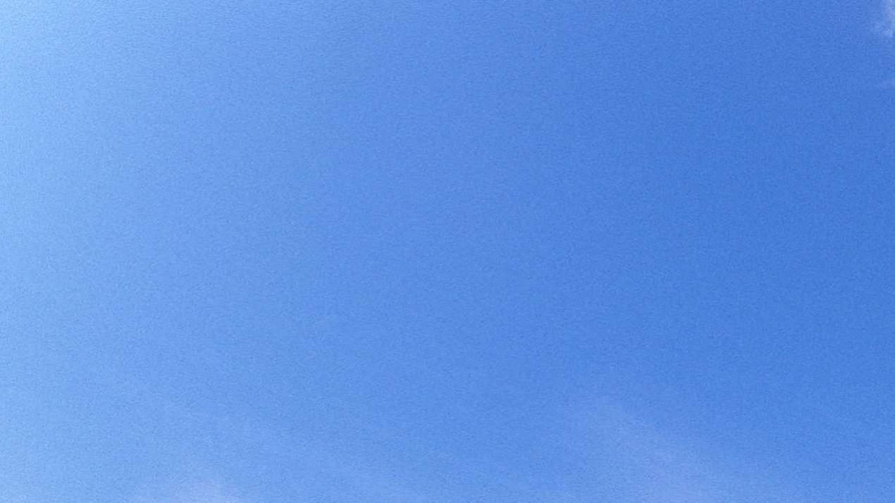 五年繁殖技巧总结，越级碾压，复杂地形环境，小麦高效繁殖秘籍