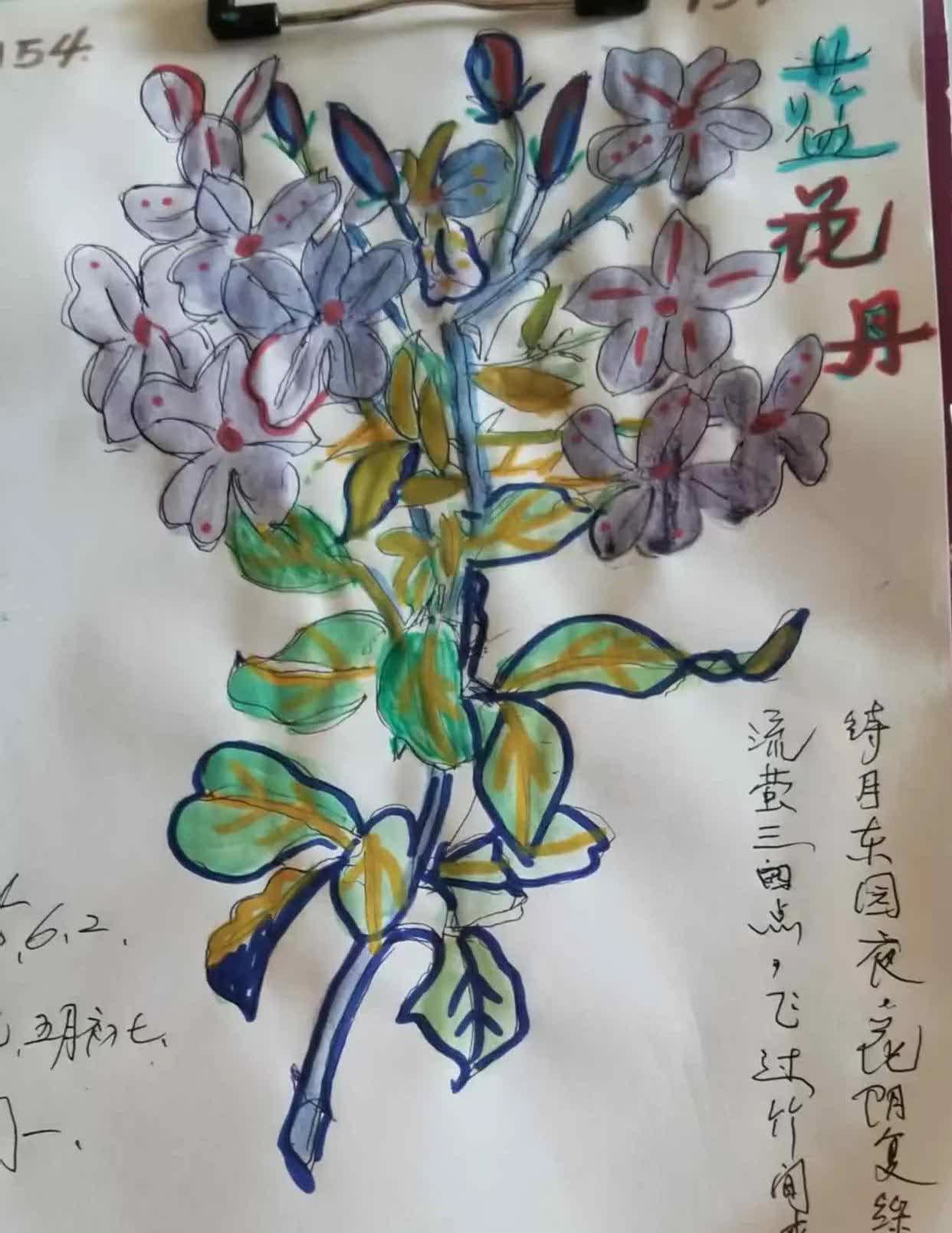 退休日记（587）
刮大风，下大雨，天上有个白毛女！

这是坊间儿歌，不知