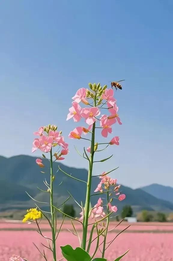 我向往世间一切美好，一心向善，可世事无常，常常不是闷头一棍就是万劫深渊，最可恨的