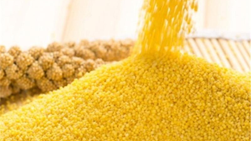 山水育好粮：发现兴县杂粮的独特魅力