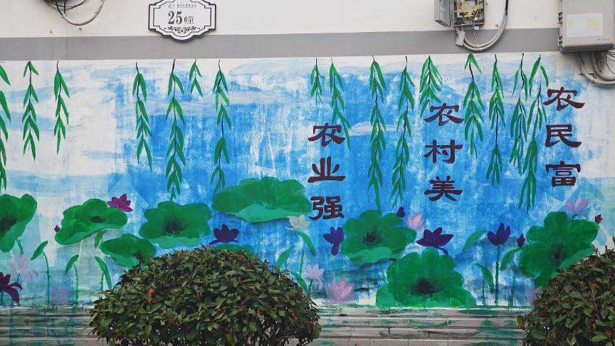 湖北武穴：一方乡土如何“整”出高颜值？