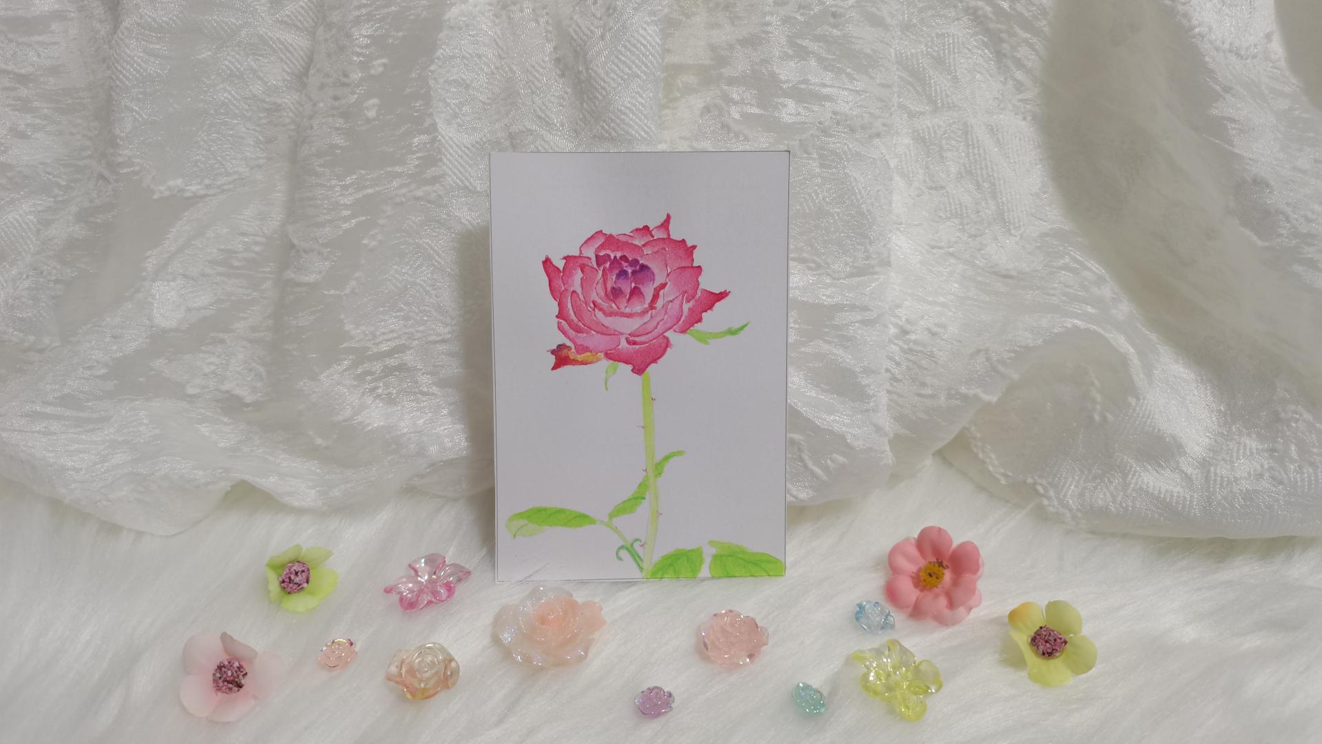 11 玫瑰（绘画 水彩 果花甘06）