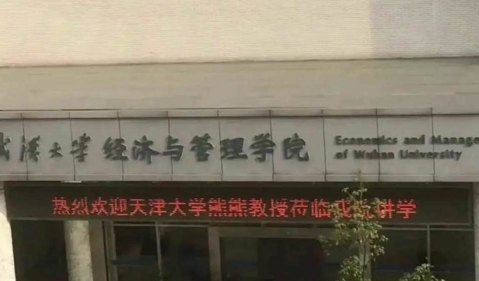 抱歉 熊熊 教授